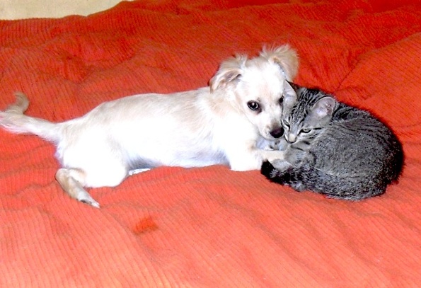 Blanquita & Julian 2.jpg
