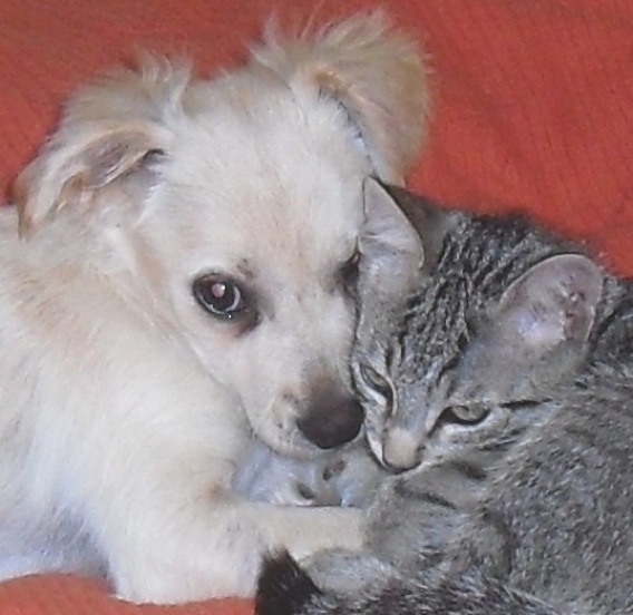 Blanquita & Julian 3.jpg
