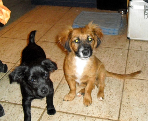 Lucky & Krümel.jpg