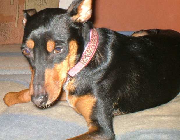 K640_Lilly!.JPG