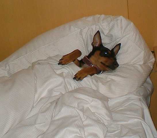K640_Lilly- B.JPG