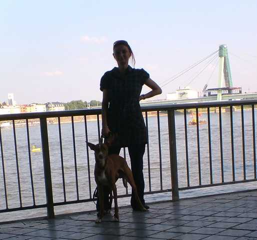 K640_Dante- Rhein.JPG
