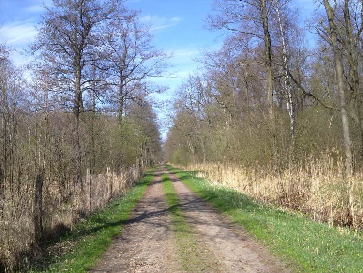Bild 020_klein.jpg