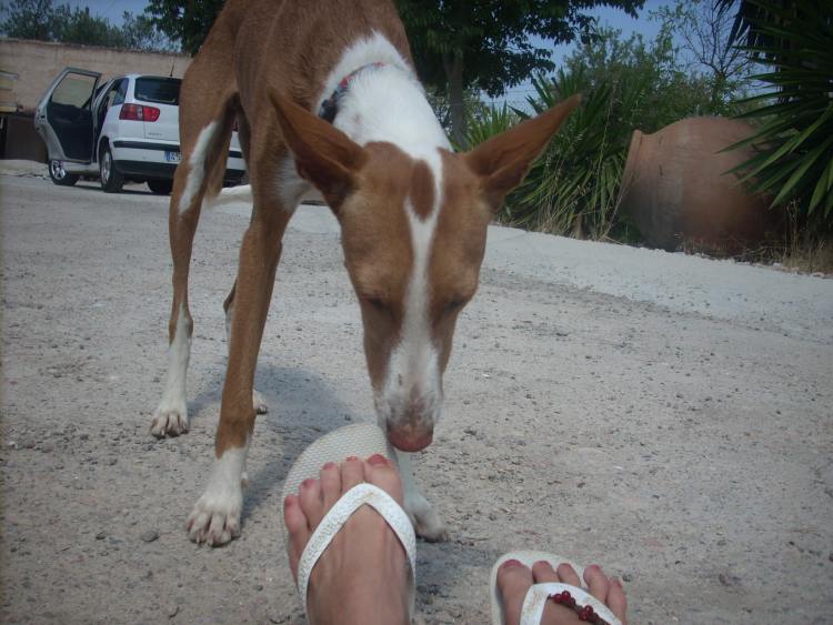 Indiana - Flip Flops, interessant .....jpg