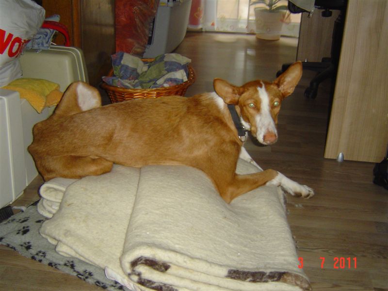 DSC04012.JPG