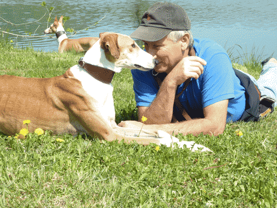 lenny-u.-nils.gif