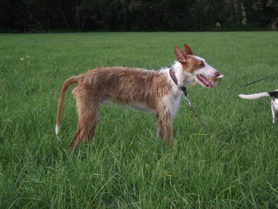 DSCF1416.JPG