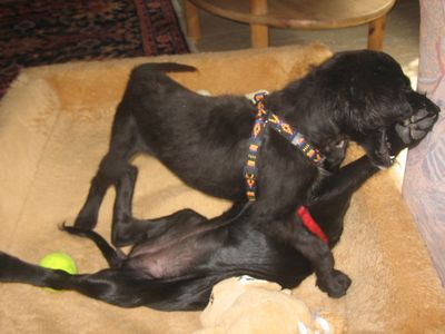 Bild 317.jpg