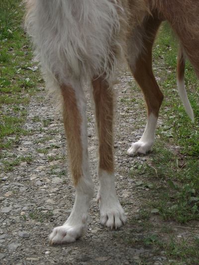 DSCF1523.geaendert.JPG