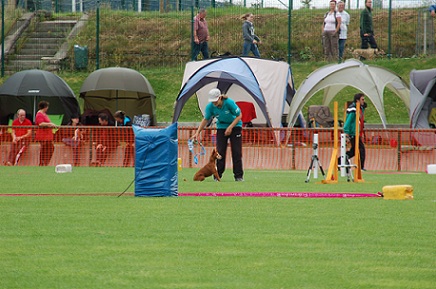 DSC_9932.JPG