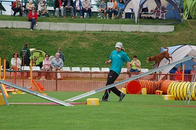 DSC_9962.JPG