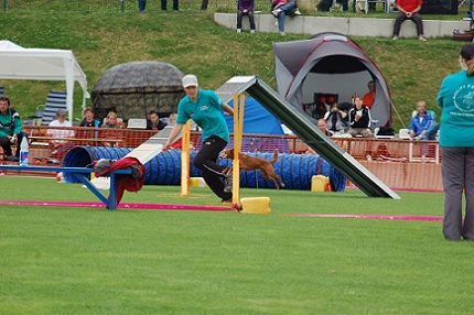 DSC_9968.JPG
