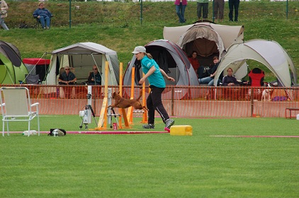 DSC_9971.JPG