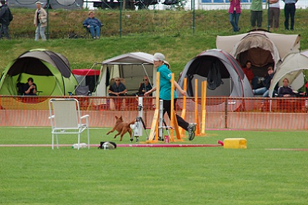 DSC_9972.JPG