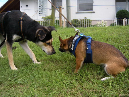 Lisa und Chico.jpg