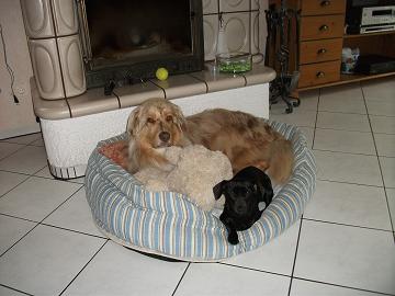 DSCF8355.jpg