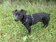 DSCF8368.jpg