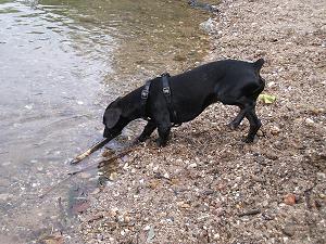 DSCF8372.jpg