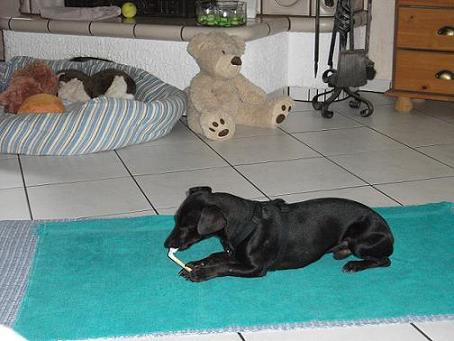 DSCF8352.jpg