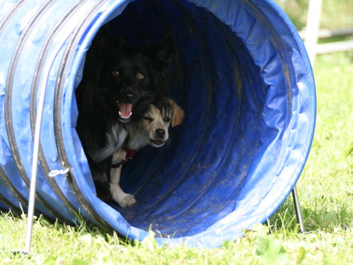 tunnel.jpg