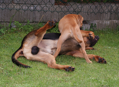 image008.png