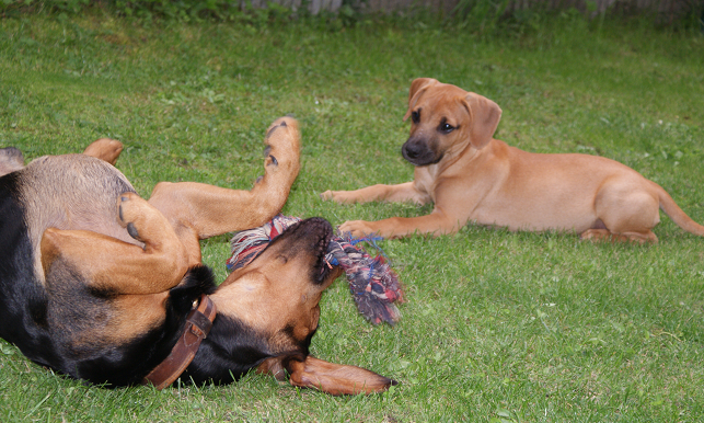 image014.png