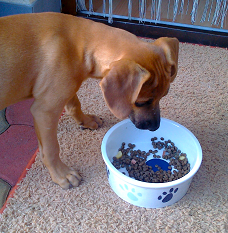 image003.png