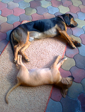 image002.png