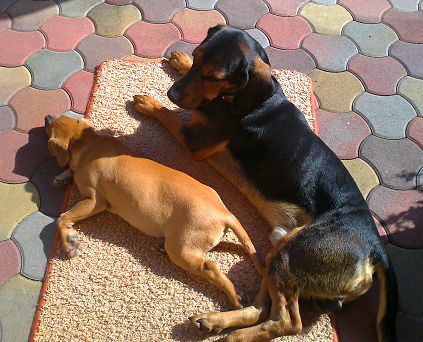 image001.png