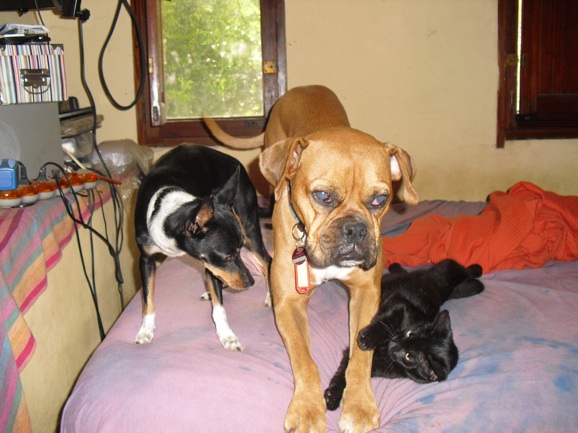 Sporty mit Greta & Linda.jpg