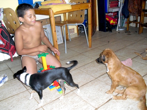 Spielstunde Lucky,Sporty & Julian.jpg