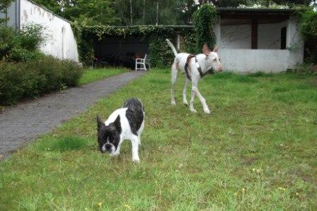 Hunsrückstraße 055 komp..jpg