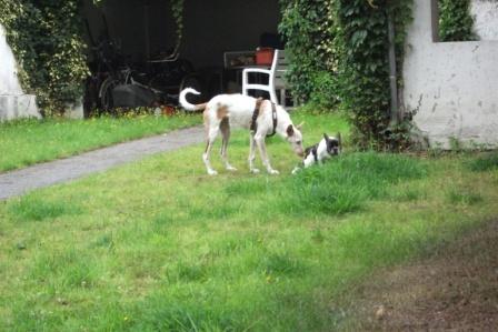 Hunsrückstraße kopr..jpg