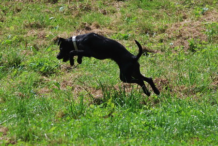 DSC_0042.jpg