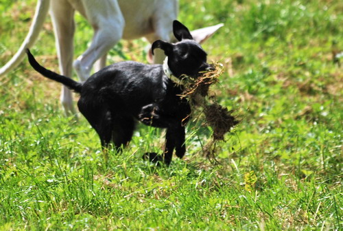 DSC_0047.jpg