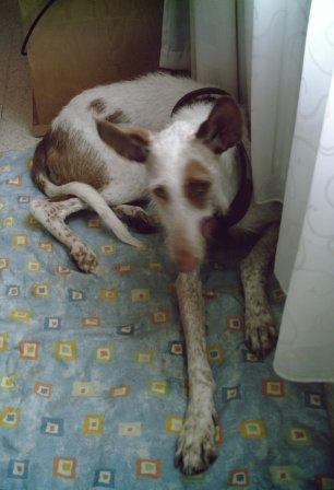 bella 005.jpg