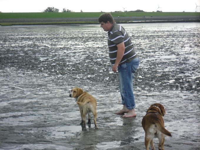 Strand 1.jpg