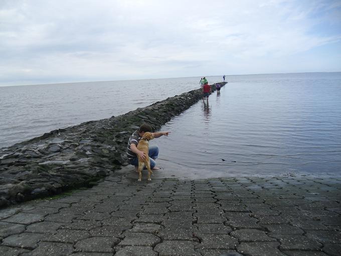 Strand 3.jpg