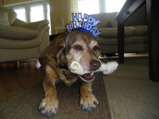 lotta geburtstag 1.jpg