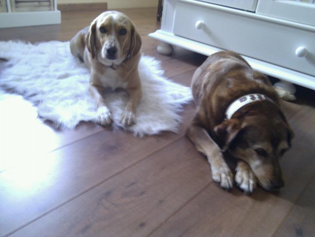 Lotta und Jilli.jpg