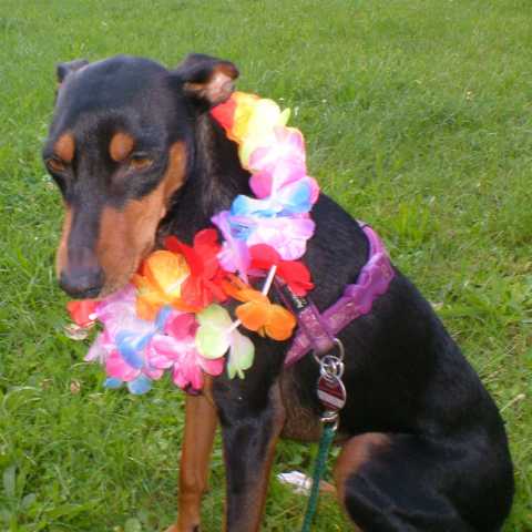 K640_Lilly mit Flora1.JPG