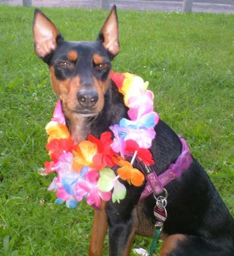 K640_Lilly mit Flora2.JPG