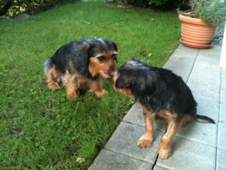 Foto 1.JPG
