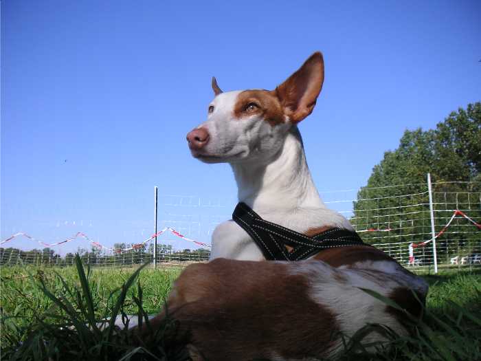 PICT8626.JPG