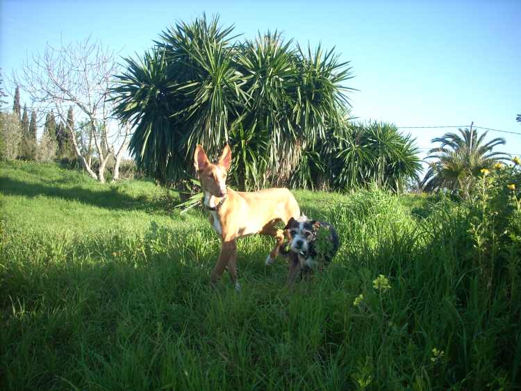Jones mit Lily Mae.jpg