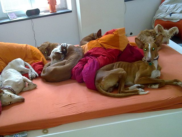 280820111245.jpg