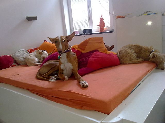 280820111247.jpg