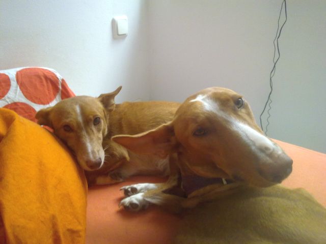 Mr und Mrs Jones.jpg