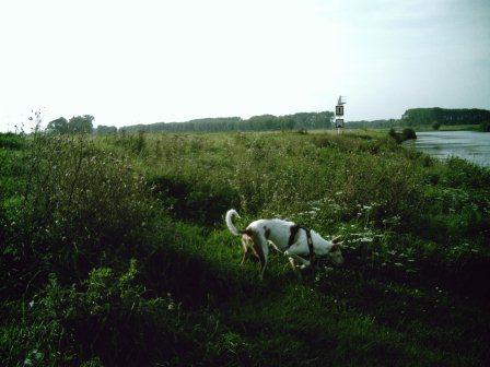 bella 050.JPG