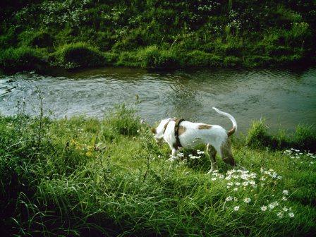 bella 054.JPG